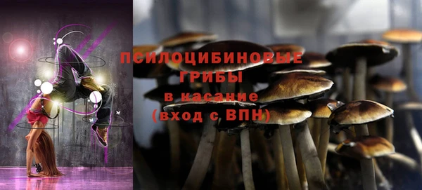 соль ск Белоозёрский