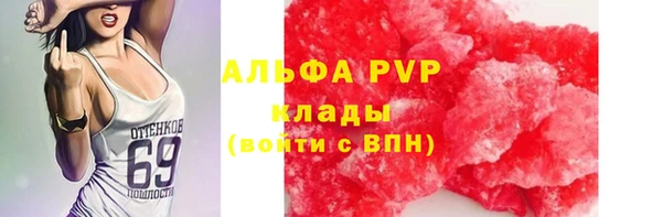 прущие крисы Белокуриха