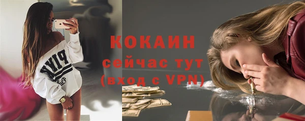 прущие крисы Белокуриха